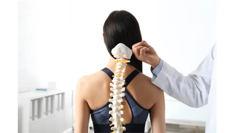 A clinician holding an anatomical spine model against a patient upper back during an assessment