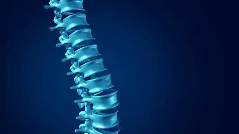 A three dimensional illustration of the lumbar spine on a dark blue background