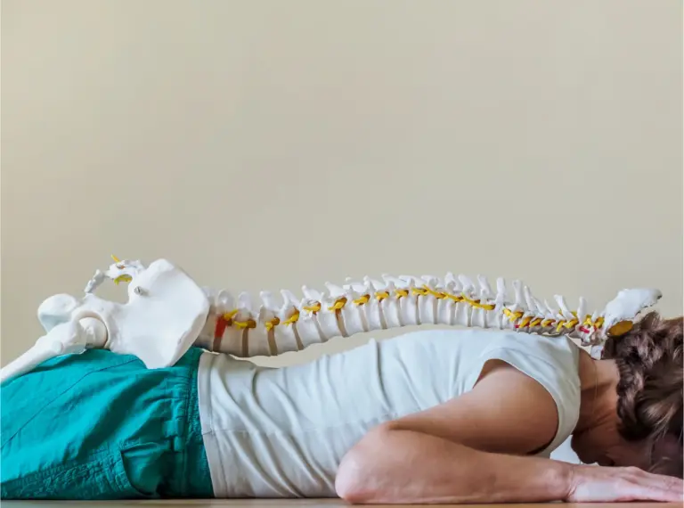 Anatomical model of the spine laid alongside a person lying face down
